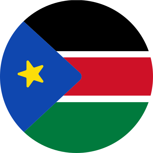 South Sudan Forum