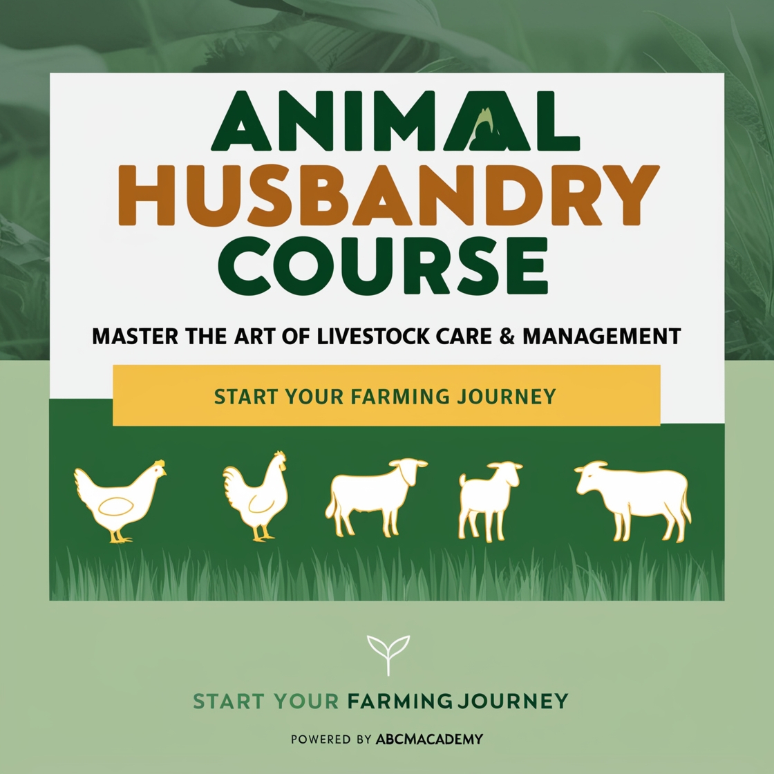 Animal Husbandry (poultry, cattle, sheep/goat) Course