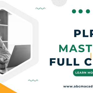 PLR Mastery Full Course